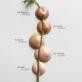 MADARA H2O tonējošs serums ar hialuronskābi, #1 MAY FLOWER 30ml