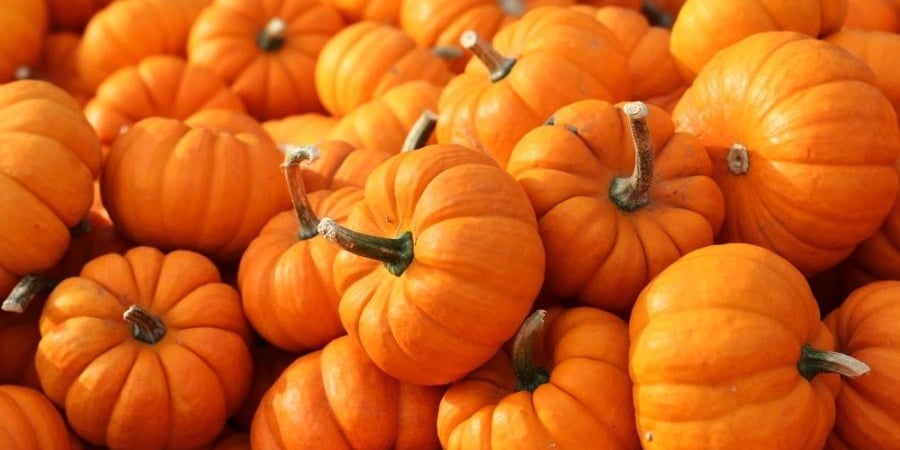 Kas slēpjas Halovīna karalī – ķirbī?