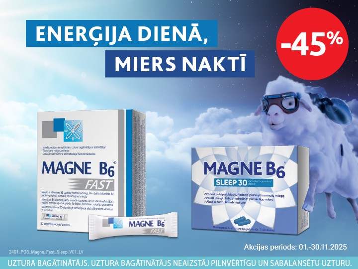 202511 Magne B6